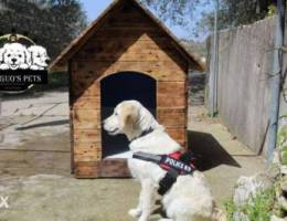 Customized Dog kennels