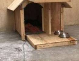 Dog house