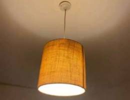 Suspended Ceiling Lamp