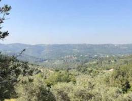 Amazing land for sale in Hasrout / Iqleem ...