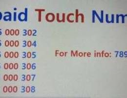 Prepaid touch numbers