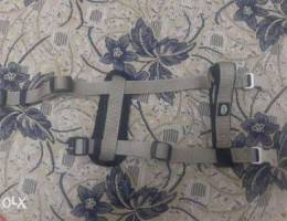 Harness for puppy. 80 000. Lbp