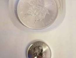 Silver coin