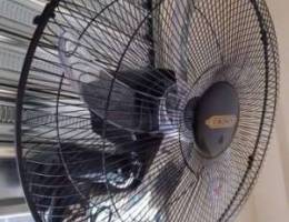 Wall mount fan- Ù…Ø±ÙˆØ­Ø© Ø­Ø§Ø¦Ø·