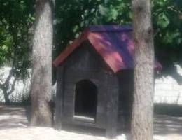 Dog House