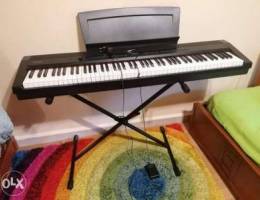 Dynatone Digital Piano DPP-510