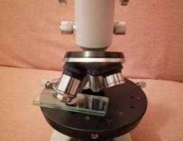 Microscope euromex holand (jeulm)