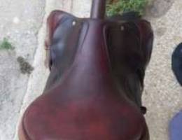 Saddle