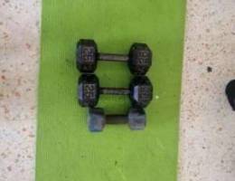 30 kg dumbells