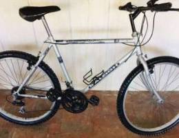 Raleigh 26inch bicycle