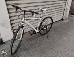 Bizstyle hybrid bicycle