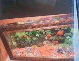 Wall Frame Aquarium