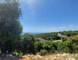 Land For sale | Gharzouz | Monsef