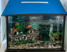 Special Aquarium with Air Filter & Boat