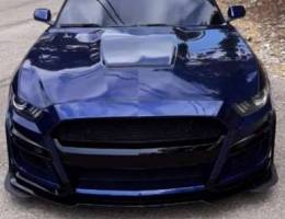 Mustang Shelby GT350R aluminum hood.