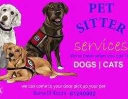 Dogs and cats sitters