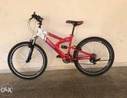 speedmax mountain bike