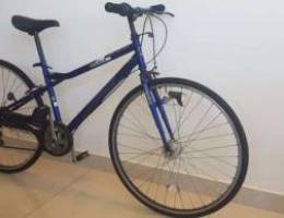 American eagel hybrid bike 28 midium