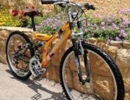 Dunlop Mountain Bike