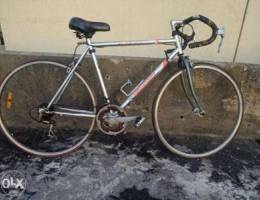 Mercury bicycle size 26