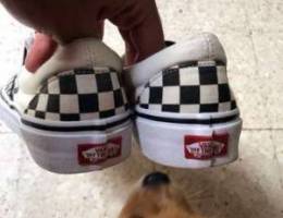 vans checkered 40.5