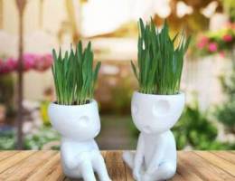 Kodama Planter