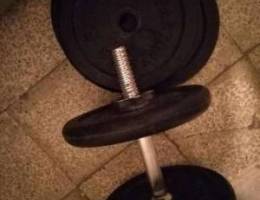 Home gym dumbells