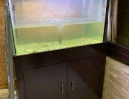 aquarium with filter and accessories