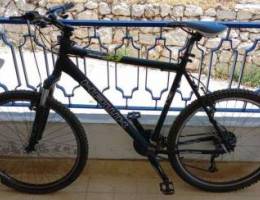 Hawk Blackline 33 hardtail mountain bike