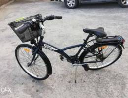 Adult city bike