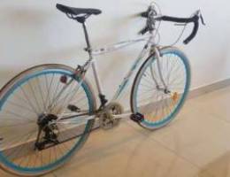 Lespo roadbike