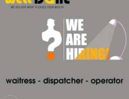 Operator, waitress, dispatcher