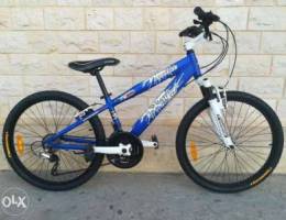 Clean aluminium bike 24