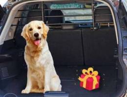 Dog car barriers for suv