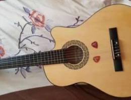 Classical elctro guitar lal pro