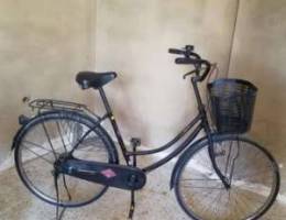 Vintage Bike 26,