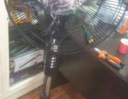 Fan Regina