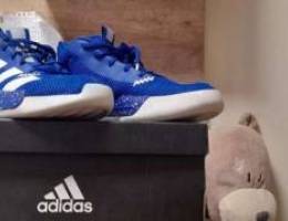 Adidas basketball shoes(pro next 2019 k wi...