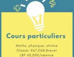 Donner des cours de mathÃ©matiques, de phys...