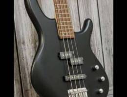 bass guitar