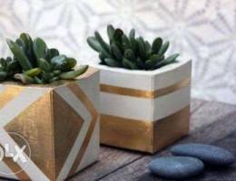 Concrete candle and succulents pots