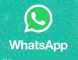 whatsapp number one time payment