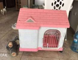 dog house