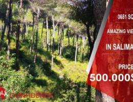 DON'T MISS THIS!! 3651 SQM land in Salima ...