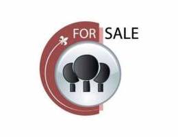 Land For Sale In Kennebet Baabdat (LT3260)