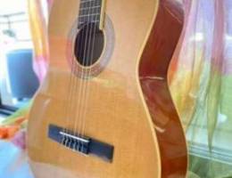 Fiesta Acoustics Guitar