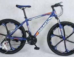 24 inch Galant original bicycle