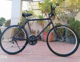 Raleigh hybrid XL 2300000 lira