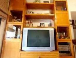 Full bibliotheque + Sony Tv + stereo and t...