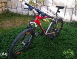 Germany mountain bike 26